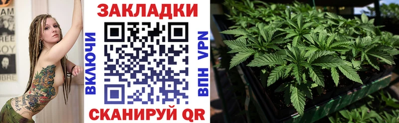 Продажа наркотиков Кирово-Чепецк MDMA  Кокаин  ГАШИШ  Каннабис 