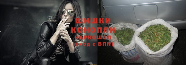 гидра Зуевка