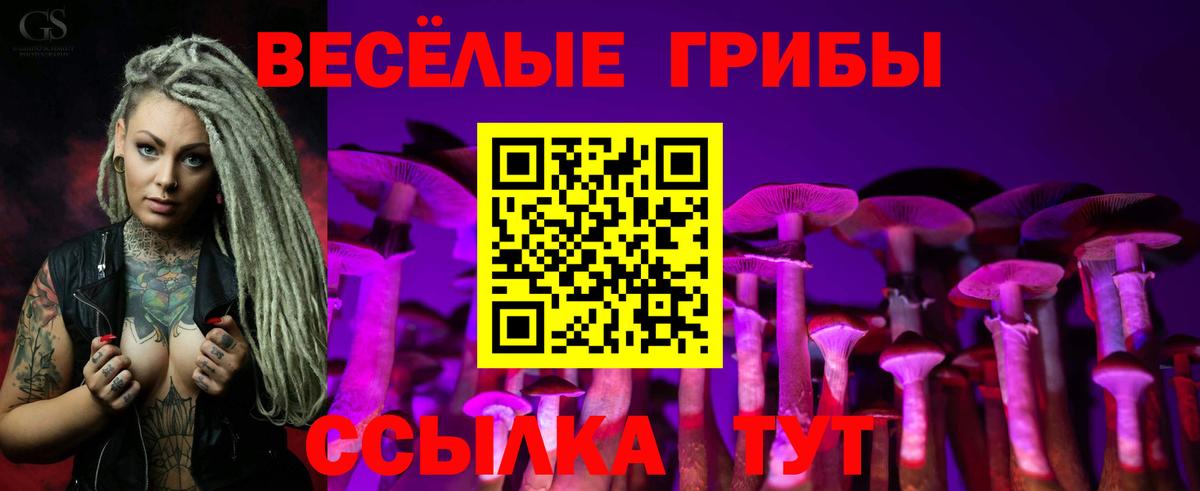 дарнет шоп  Псилоцибиновые грибы MAGIC MUSHROOMS  Вход с VPN  Псилоцибиновые грибы прущие грибы  Кирово-Чепецк 
